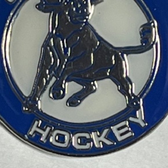 Jr. Bulls Youth Hockey Tampa, Florida Lapel Hat Pin 1" Circular - Picture 6 of 6